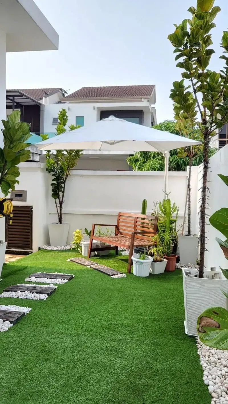 صورة المقال