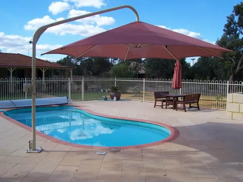 صورة المقال