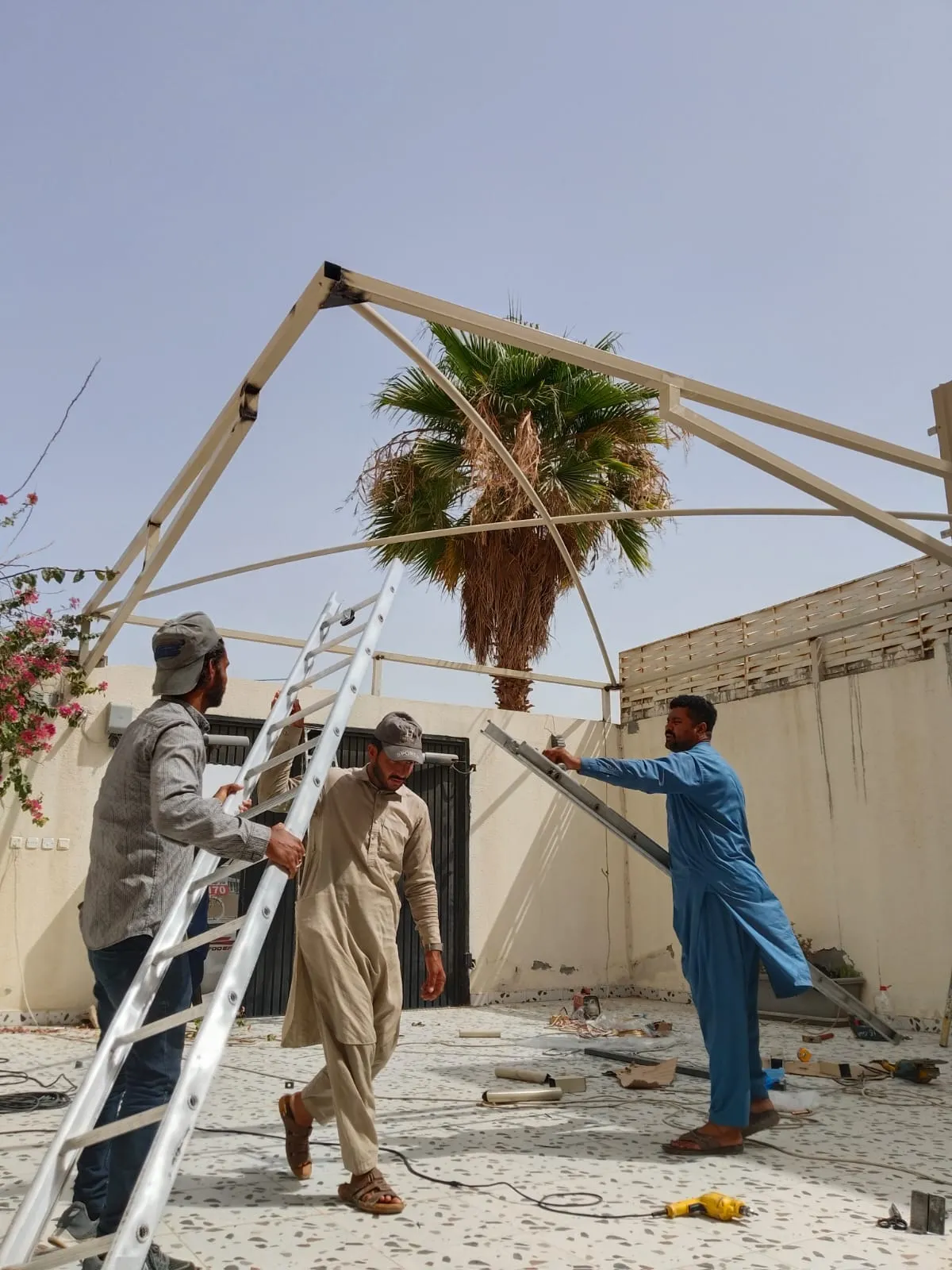 صورة المقال