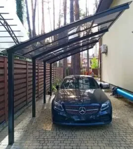 صورة المقال