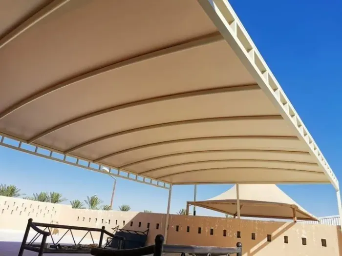 صورة المقال