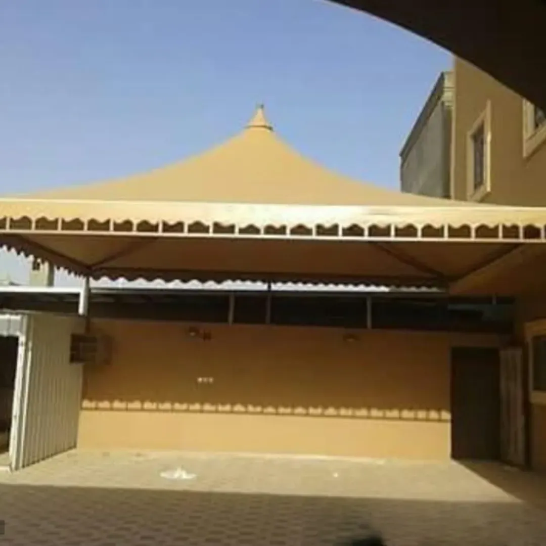 صورة المقال