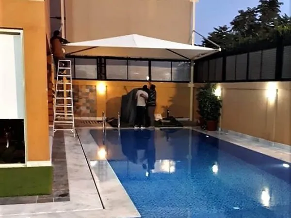 صورة المقال