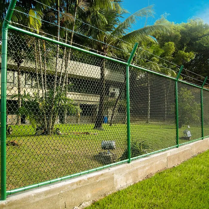 صورة المقال