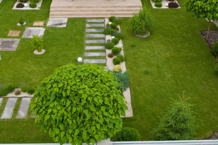 تنسيق الحدائق وتركيب عشب صناعي حي النرجس والياسمين