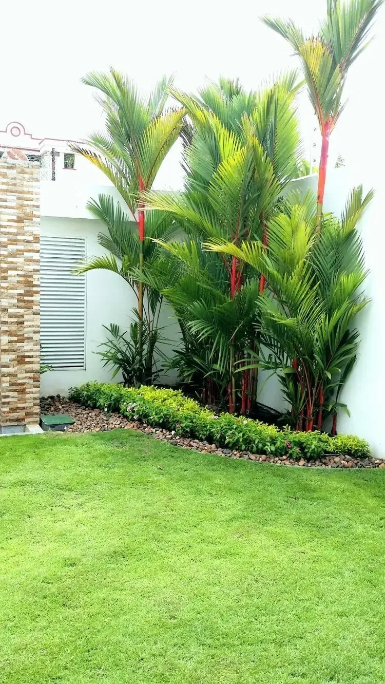 اجمل تركيب عشب صناعي لتنسيق حدائق الرياض 