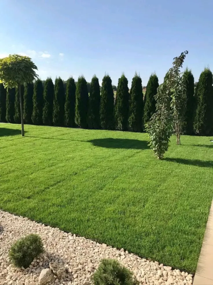 اجمل تركيب عشب صناعي لتنسيق حدائق الرياض 