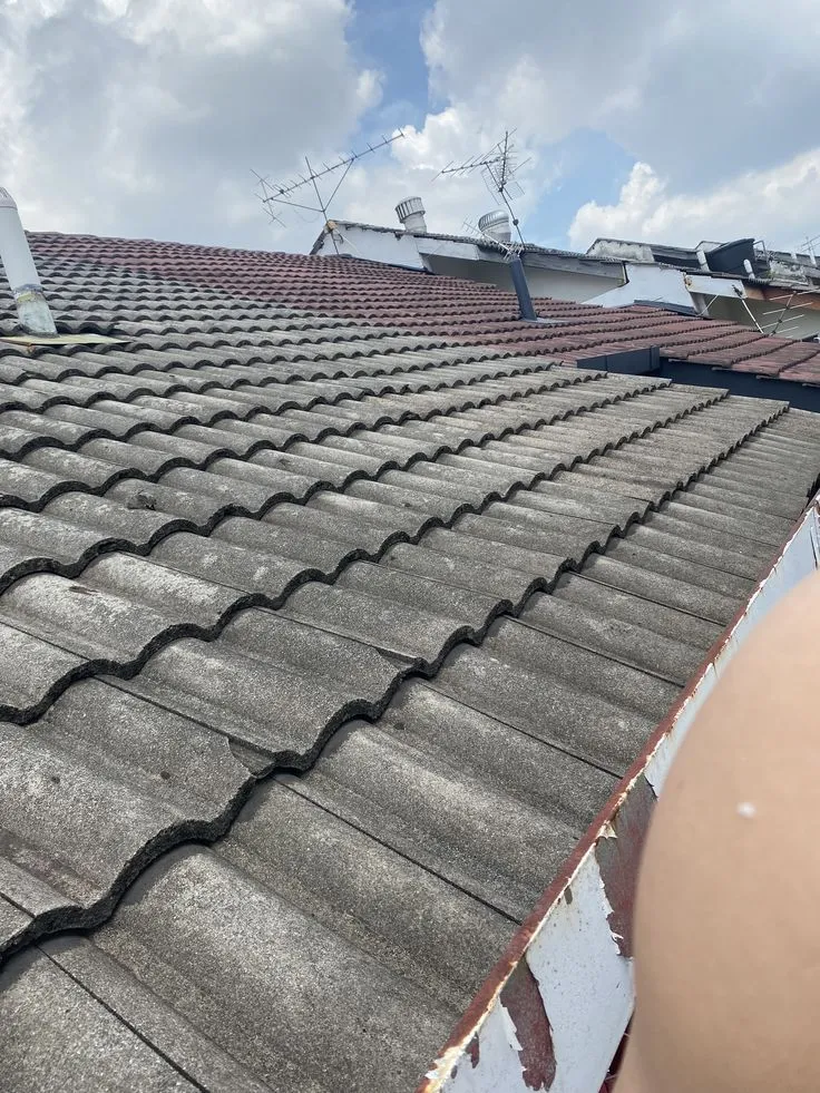 دليل تركيب قرميد الأسطح حي الصحافة والعليا: الأنواع،والاسعار