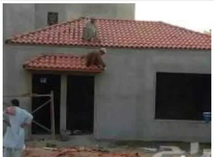 افضل ملاحق مودرن صغيرة في حي الربيع وحي الرمال: أفكار مبتكرة